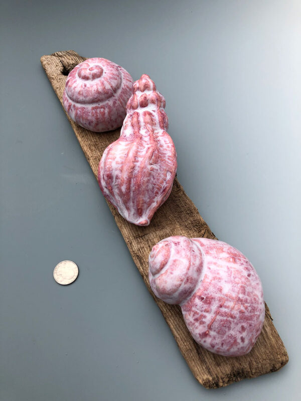 Frothy Pink Shell Trio