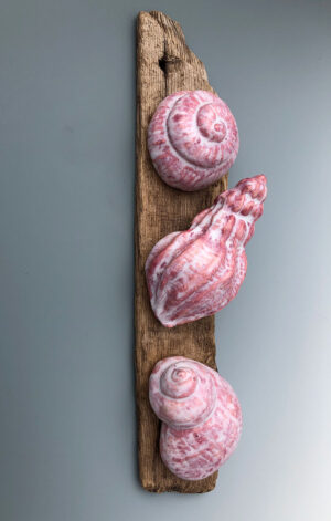Frothy Pink Shell Trio