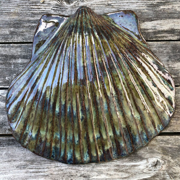 shimmering scallop