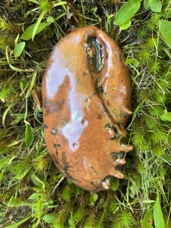 Maine Lobster Claw Sculptures - Image 7