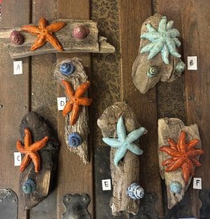 Starfish with Winkles