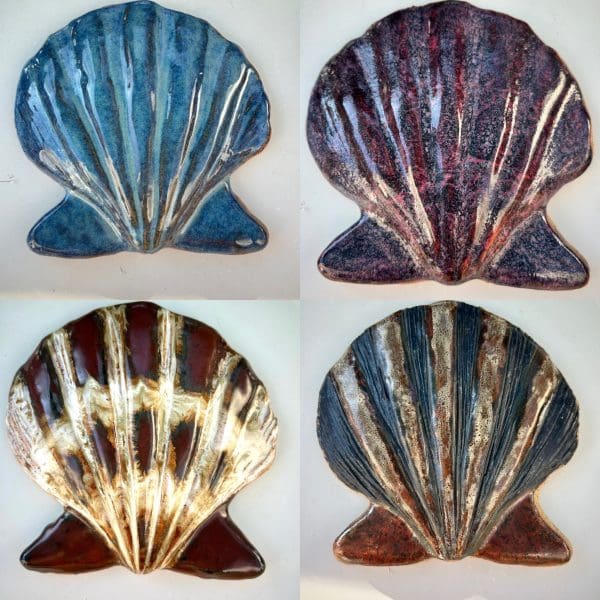 Scallop - Image 2