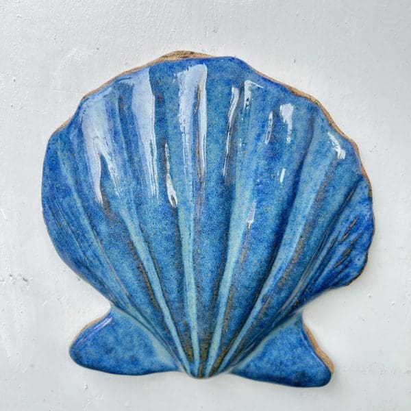 Scallop - Image 4